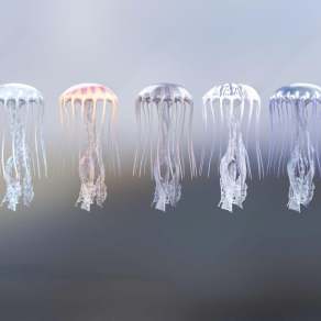 现代水母3D模型下载